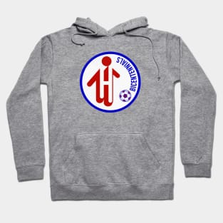 Defunct Hartford Bicentennials Soccer 1975 Hoodie